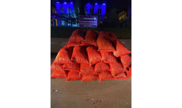 Bursa'da 3 tonluk ceviz dolandırıcılığı