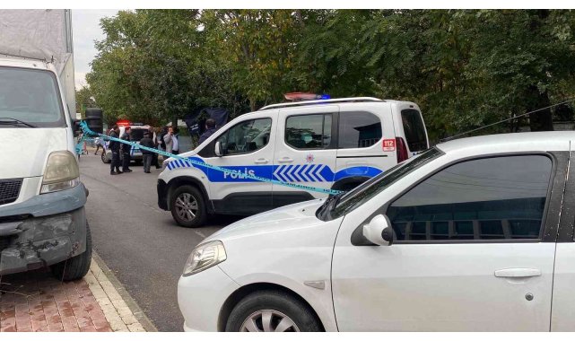 Bursa'da ayva toplamak isterken hayatını kaybetti