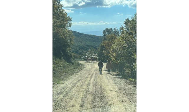 Kaybettiği hayvanları jandarma buldu