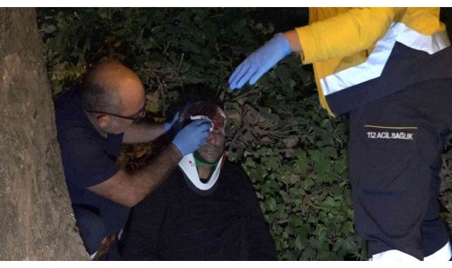 Kontrolden çıkan araç ağaca çarptı, kapıdan savrulan sürücü başından yaralandı
