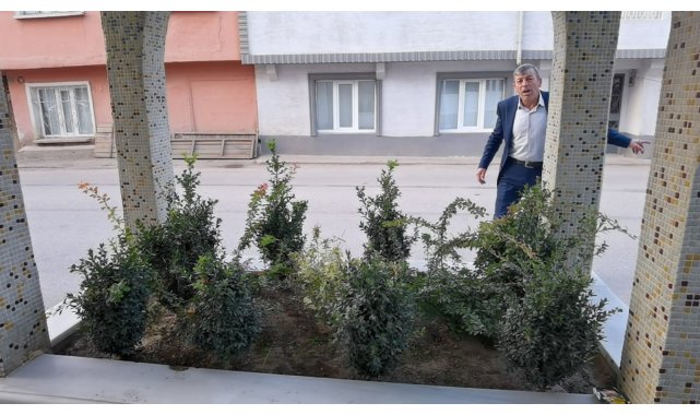 Şehir efsanesi köyü ikiye böldü...O mezar aşkından ölen kıza mı ait?