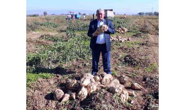 Şeker pancarında kalite seferberliği