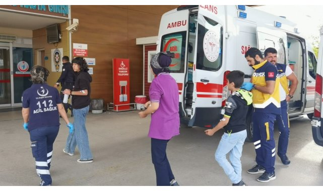 Teneffüsteki 15 öğrenciyi arılar soktu, okula 1 gün ara verildi