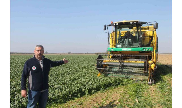 Türkiye'nin ıspanak ihtiyacının dörtte birini Bursa karşılıyor