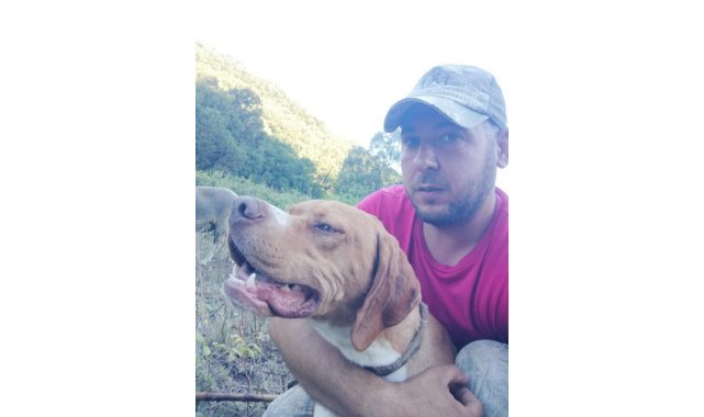 20 bin liralık köpeğini çaldılar bulana kuzu hediye edecek