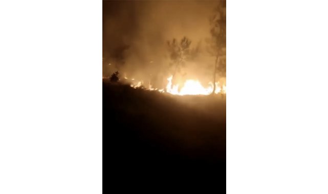 Bursa'da ormanlık alanda korkutan yangın