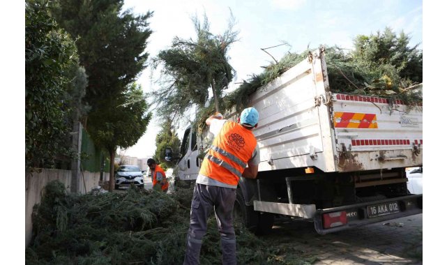 Nilüfer'de bahçe ve budama atıkları kompost oluyor