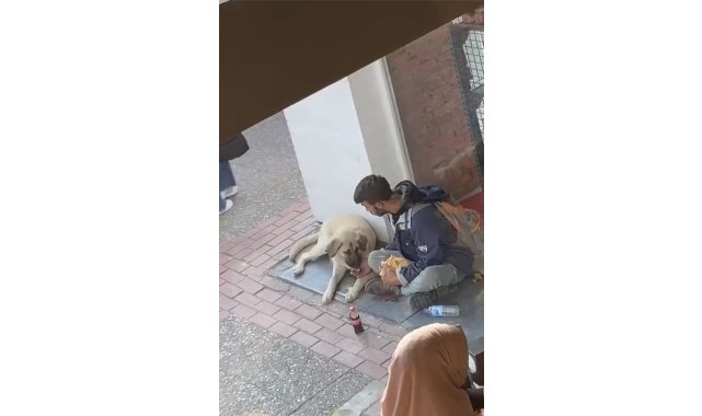 Yemeğini sokak köpeği ile paylaştı, sosyal medyada viral oldu