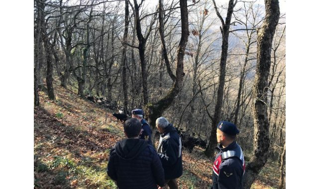 Kayıp koyunları jandarma ekipleri buldu