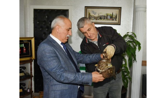 Vurulmuş yaralı şahin için harekete geçildi