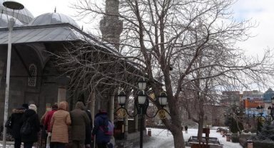 461 yıllık caminin bahçesindeki 117 ve 162 yaşlarındaki ağaçlar tescil edildi