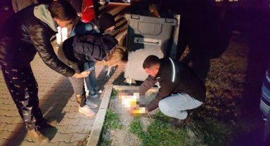 7 ayda baktığı 6 kediden 5'i öldürüldü, 1'i kayboldu