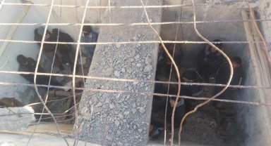 Afganistan uyruklu 24 kaçak, su deposunda yakalandı