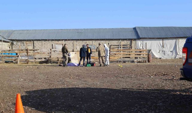 Ağrı'da silahlı saldırı: 3 kişi kafasından vurularak öldürüldü