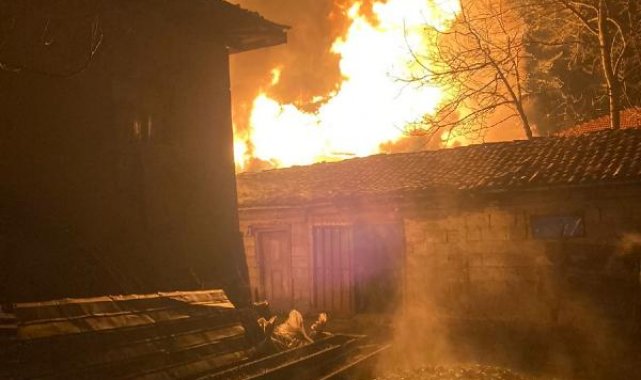 Alev alev yanan ahırdaki hayvanlar son anda kurtarıldı