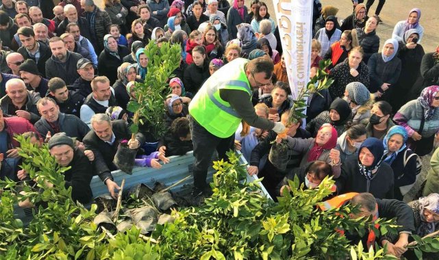 Altınordu Belediyesi 341 bin fidanı toprakla buluşturdu