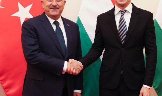 Bakan Çavuşoğlu, Macar mevkidaşı Szijjarto ile görüştü