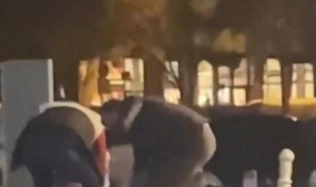 Beylikdüzü'nde otoparkta kadına tekme tokat saldırdı