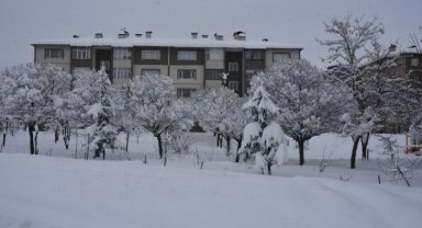 Bitlis'te kar kalınlığı 50 santimetreyi geçti; araçlar görünmez oldu
