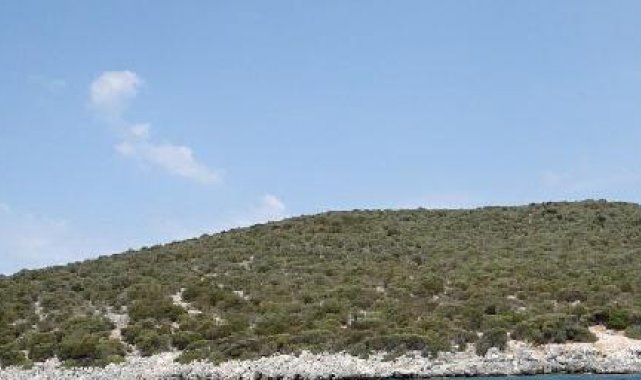 Bodrum'da 220 milyon liraya satılık ada