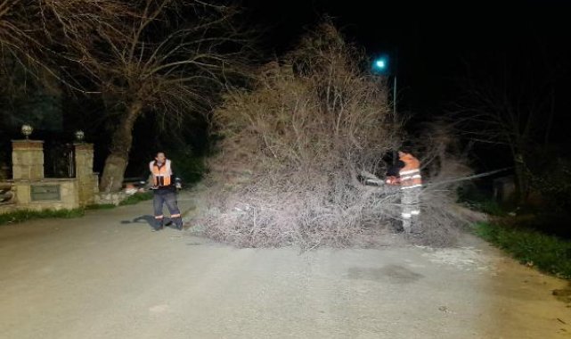 Bodrum'da fırtına ve sağanak; ağaçlar devrildi, yollar göle döndü