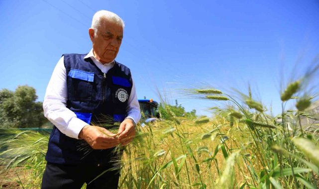 Büyükşehir'den tarım ve hayvancılığa destek