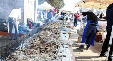 Düzce'deki festivalde 4 ton hamsi dağıtıldı