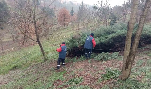 Düzce'yi park ve bahçeler güzelleştiriyor