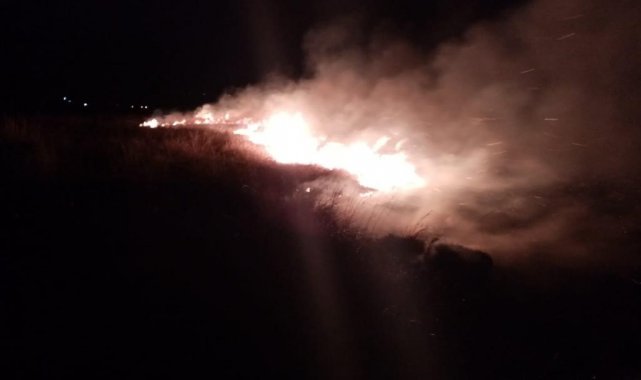 Erzincan anız yangını