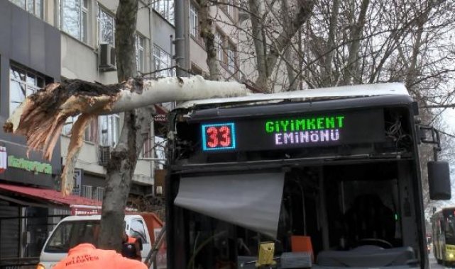 Fatih'te çarptığı dal, İETT otobüsünün üstüne düştü