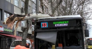 Fatih'te çarptığı dal, İETT otobüsünün üstüne düştü