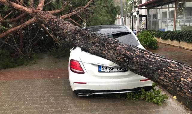 Fırtına ağaçları devirdi, lüks araç ve bir ev zarar gördü