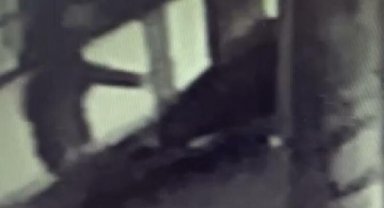 Gizem'in eşi tarafından sokak ortasında vurulması kamerada