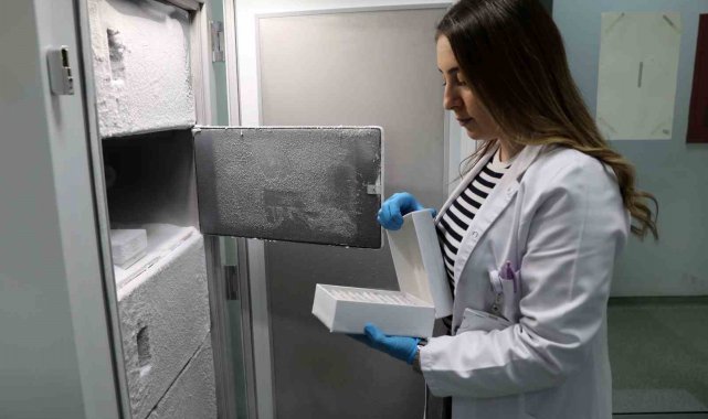Hastalıkların tespitinde en iyi rehber: Genetik analizler