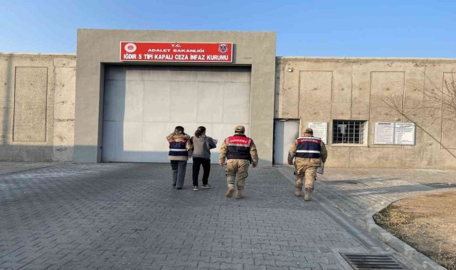 Iğdır'da resmi belgede sahtecilik suçundan 1 kişi tutuklandı