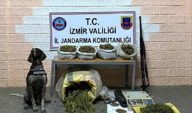 İzmir'deki 'Kökünü Kurutma' operasyonunda 59 gözaltı
