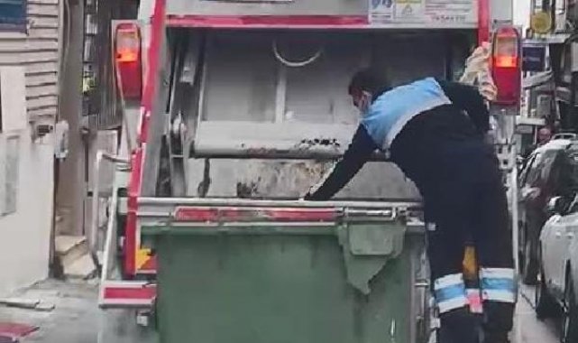 Kadıköy'de martıların çöp kamyonuna yemek akını