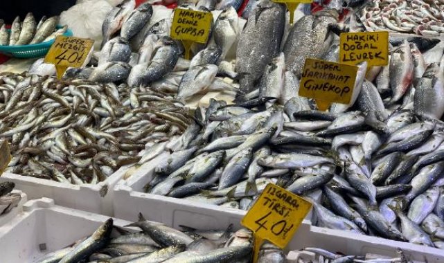 Karadeniz soğudu, tezgahta balık bollaştı