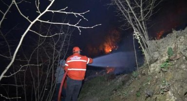 Karasu'da orman yangını