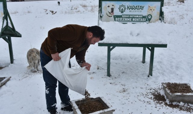 Karatay Belediyesi sokak hayvanlarını unutmadı