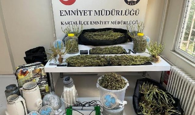 Kartal'da evi uyuşturucu serasına çevirdiler