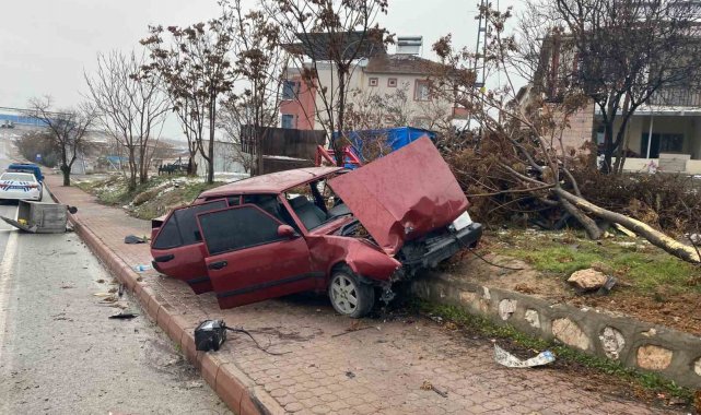 Kontrolden çıkan araç kaldırıma çıkıp ağacı yerinden söktü