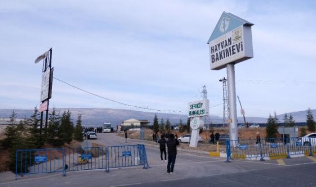 Köpeğin kürekle öldürülmesinde sanıklara verilen cezayı az bulan savcılıktan itiraz