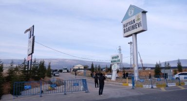 Köpeğin kürekle öldürülmesinde sanıklara verilen cezayı az bulan savcılıktan itiraz
