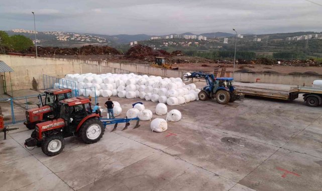 Küçükbaş hayvan üreticilerine ücretsiz silaj dağıtılacak