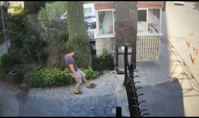 Küçükçekmece'deki kedi düşmanı yine sahnede