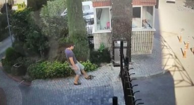 Küçükçekmece'deki kedi düşmanı yine sahnede