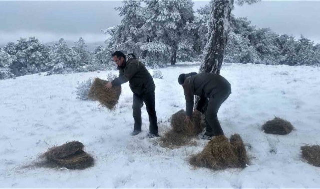 Kütahya OBM'den yaban hayvanlarına yem desteği