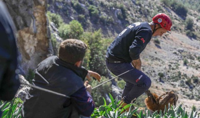 Mahsur kalan 3 keçiyi itfaiye kurtardı
