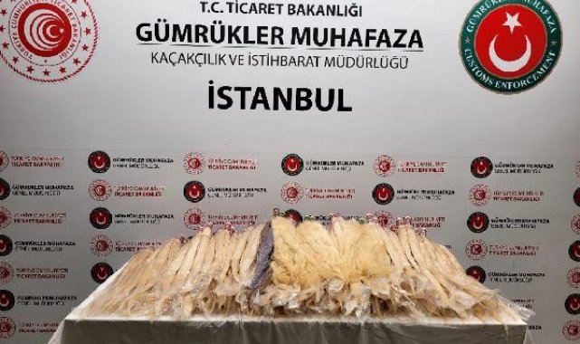 Sabiha Gökçen'de 54 kilo insan saçı ele geçirildi